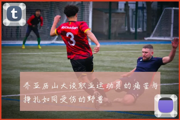 乔亚历山大谈职业运动员的痛苦与挣扎如同受伤的野兽