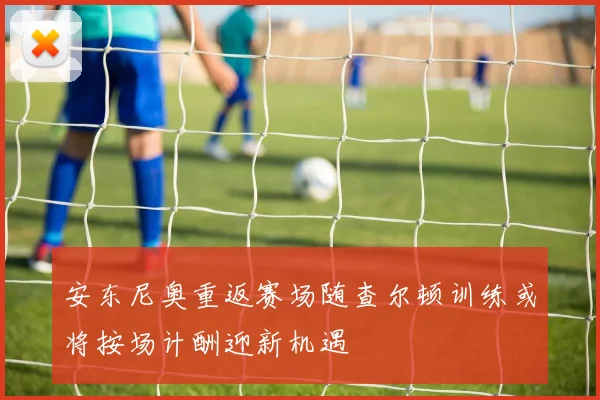安东尼奥重返赛场随查尔顿训练或将按场计酬迎新机遇