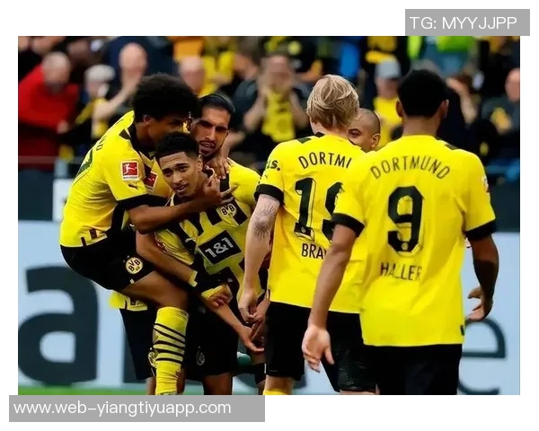 国王下半场狂砍39分多特强调提升竞争强度与拼搏精神 国王下半场狂砍39分多特强调提升竞争强度与拼搏精神